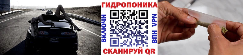 Каннабис планчик  как найти наркотики  Урус-Мартан 